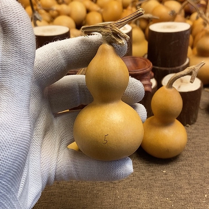 文玩葫芦 完美主义者 慎拍5