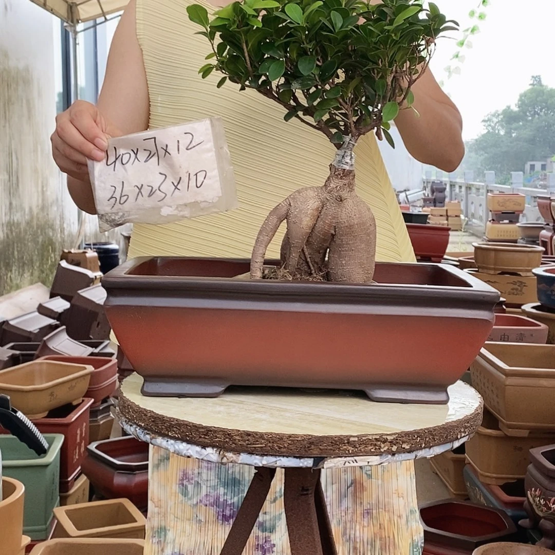 花盆紫砂紫砂花盆
