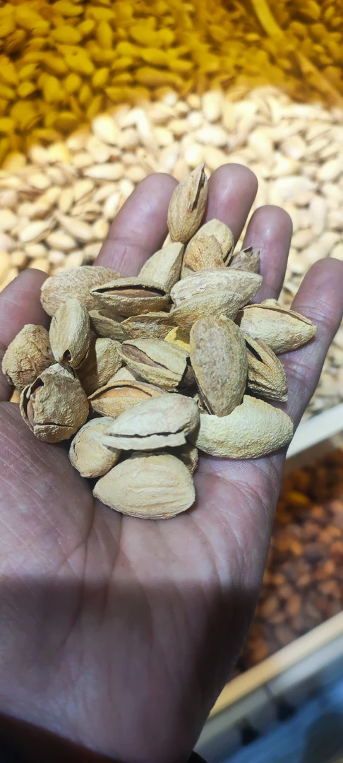 新疆特产，原味纸皮巴旦木（全国包邮）