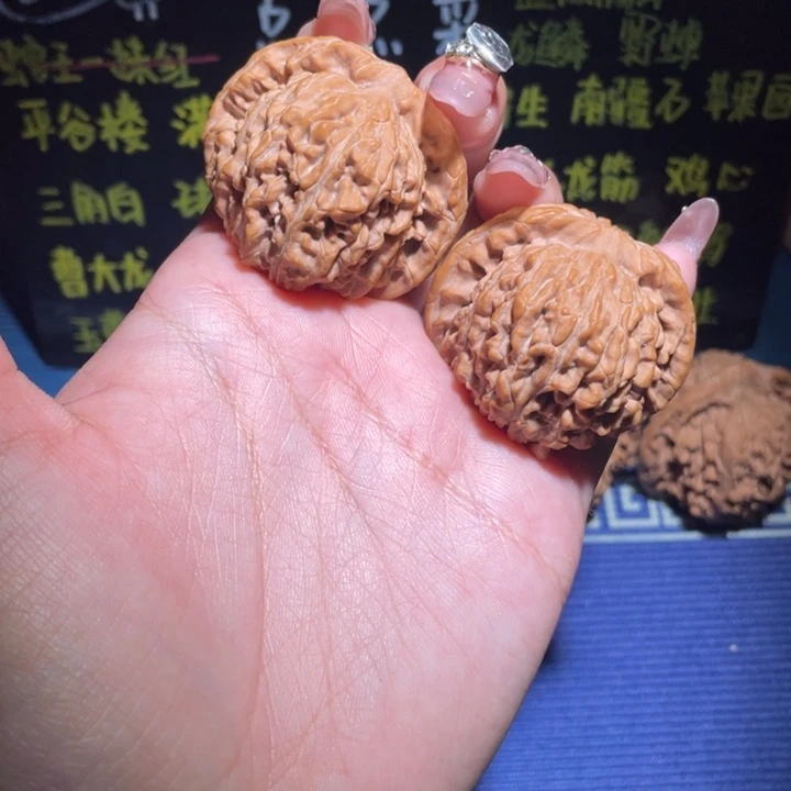 42平谷楼115 1111111