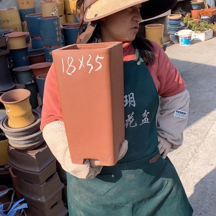 紫砂花盆盆栽花卉苗木种植