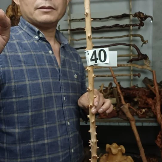 奥***鑫香榧木高山 檬子木文玩料