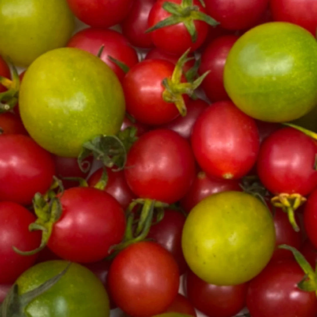 双拼番茄一份500g