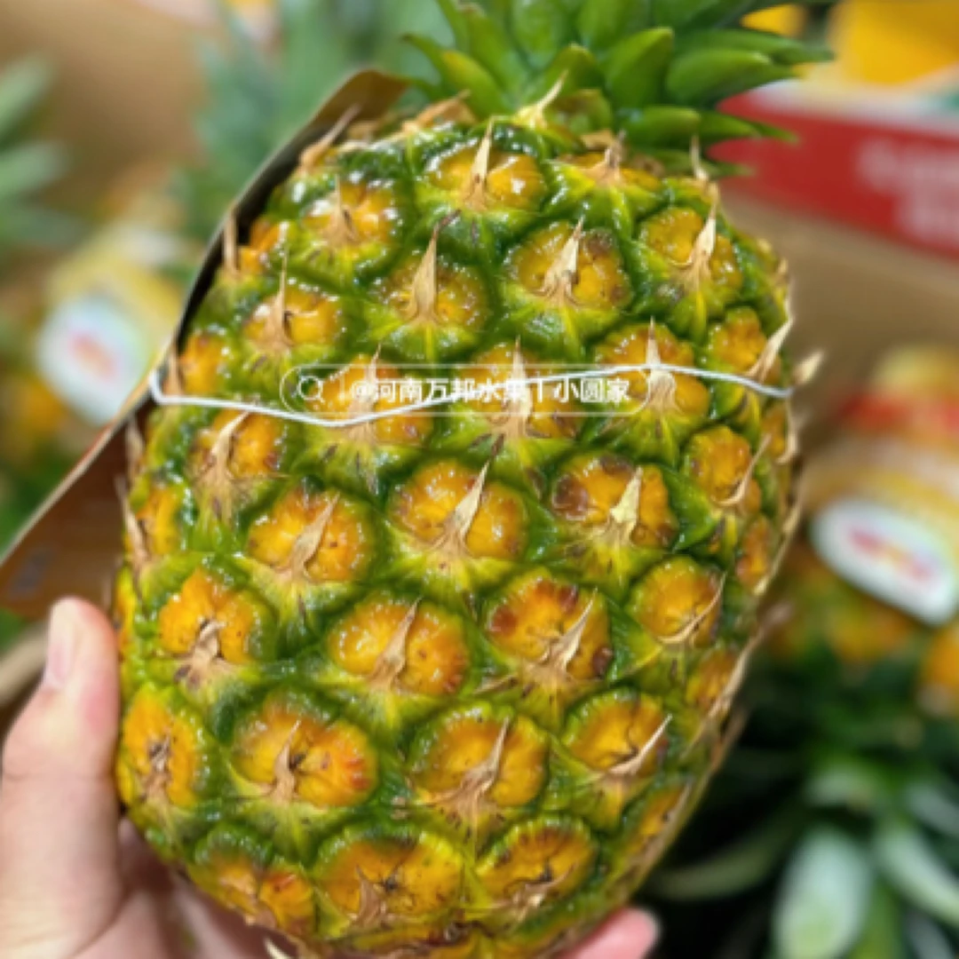 都乐金菠萝一个