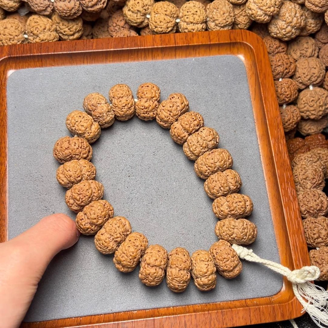 5号尼泊尔大金刚23满肉五星蜂王夹板手持