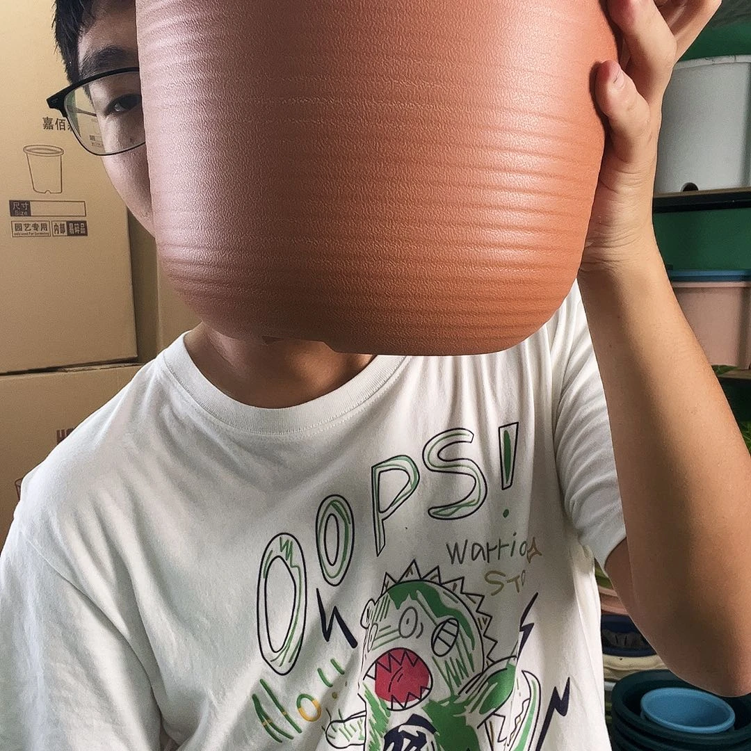 艾莎240五个装瑕疵无售后