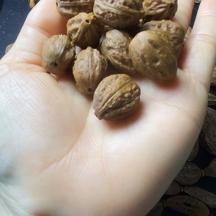 L***J文玩异形秋子手串 12