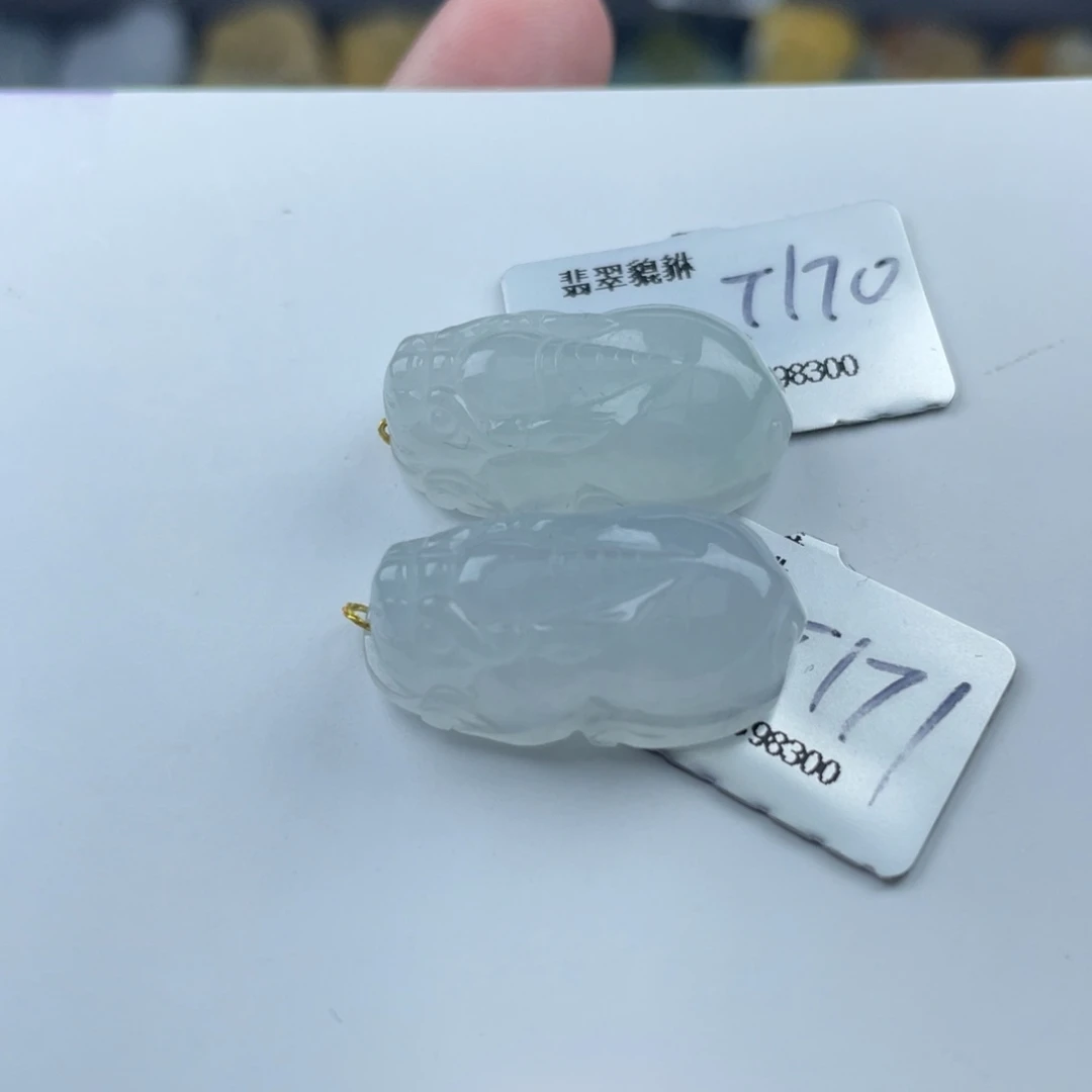 翡翠未镶嵌颈饰貔貅 多样性发其一