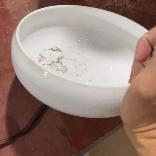 瓷片陶瓷陶瓷8英寸