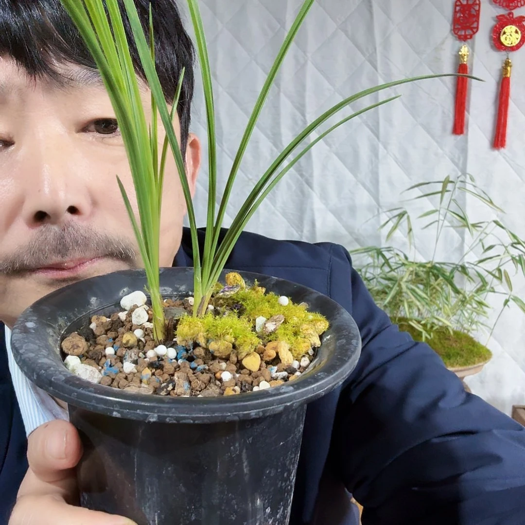 权***哥完全开放Bys78996654