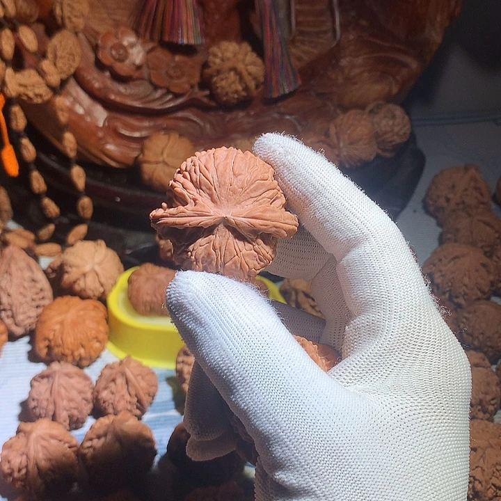 爱***猫文玩核桃把件白狮子