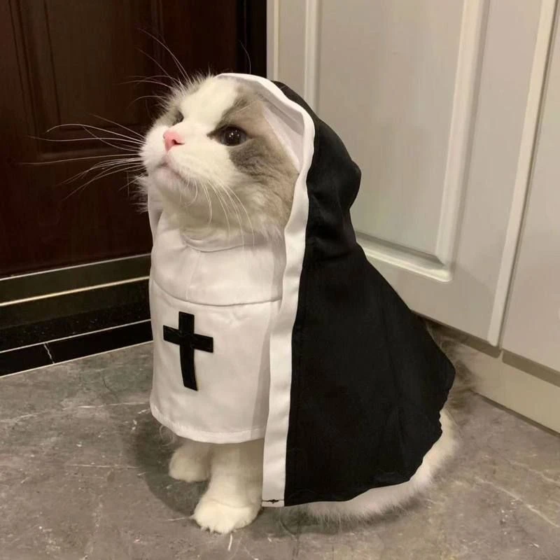 小咪修女服小修猫服装宠物衣服修狗装搞怪cos拍照中小型犬网红