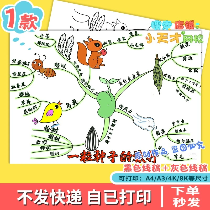 一粒种子的旅行思维导图小学生阅读手抄报好书推荐电子版f654