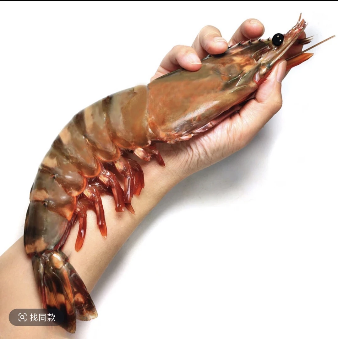 新鲜海捕手臂大虾大红爪虎虾肉质Q弹高端精品冷链发货生鲜海鲜