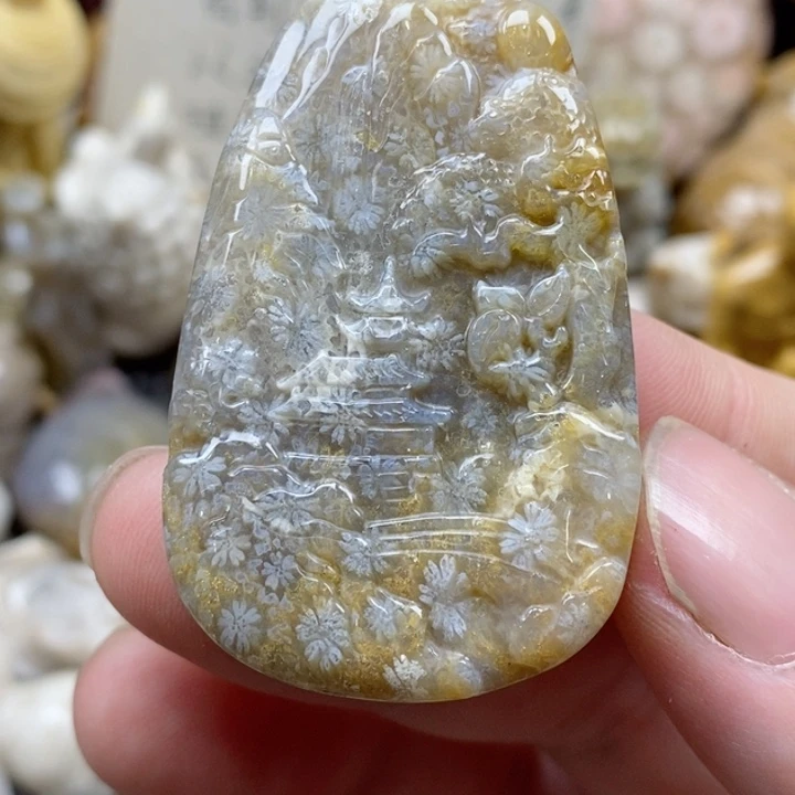 颈饰未镶嵌硅化珊瑚（珊瑚玉）