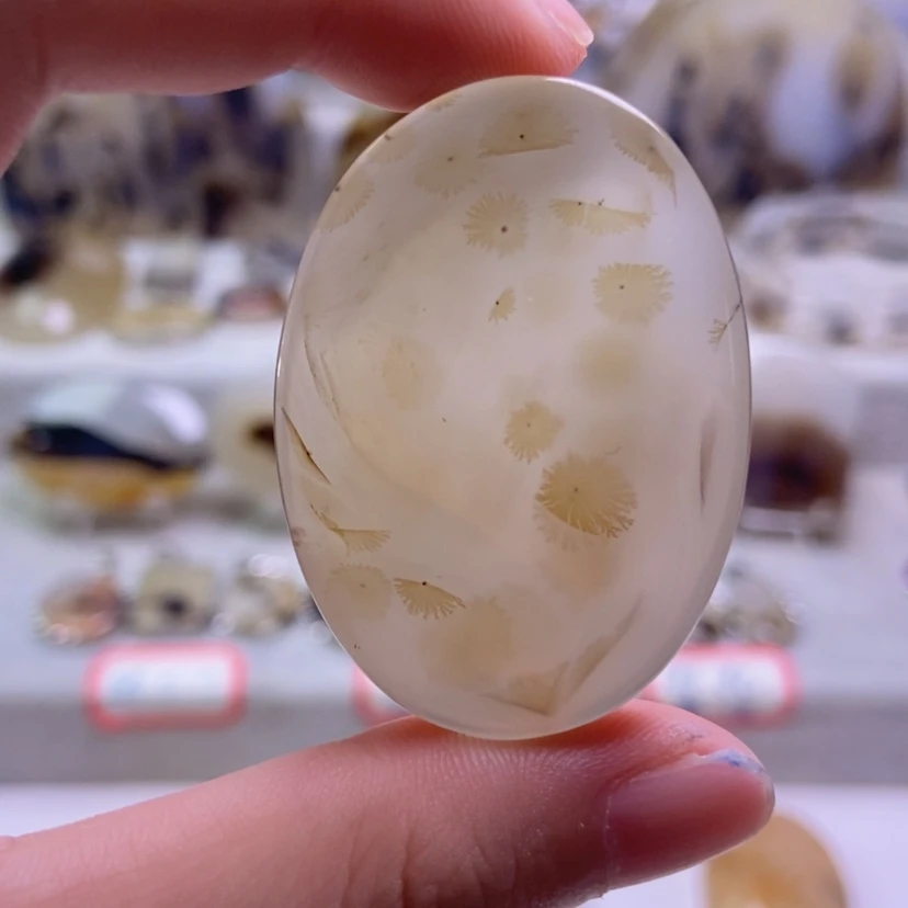 【闪购商品】未镶嵌颈饰玛瑙/玉髓