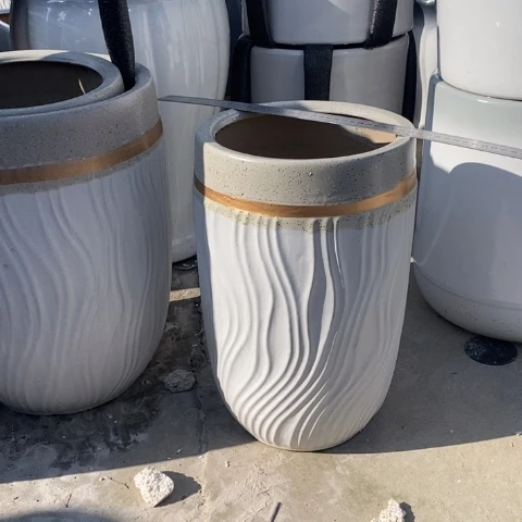 低腰金边水波浪中号 口25/40