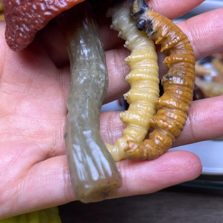 菌***君寿山石2222222222222