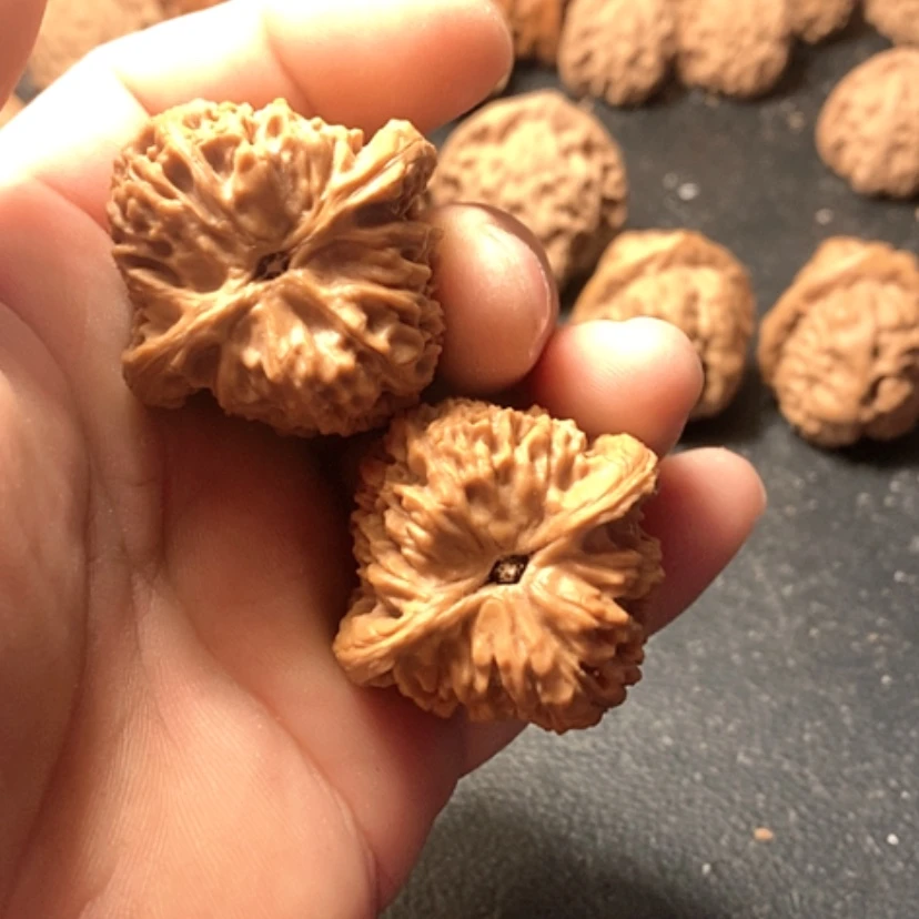 【闪购商品】依*南疆