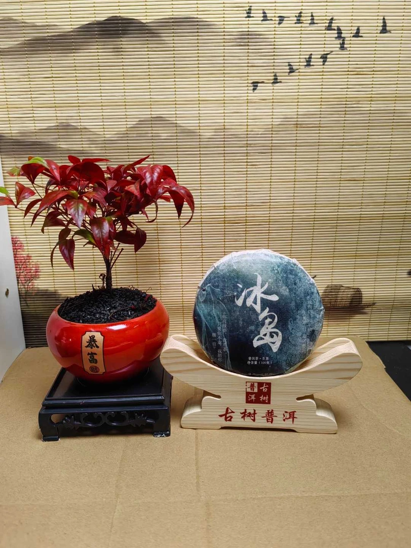 2023年冰岛老寨大树纯料饼茶 汤香水柔 回甘持久 喉韵深长