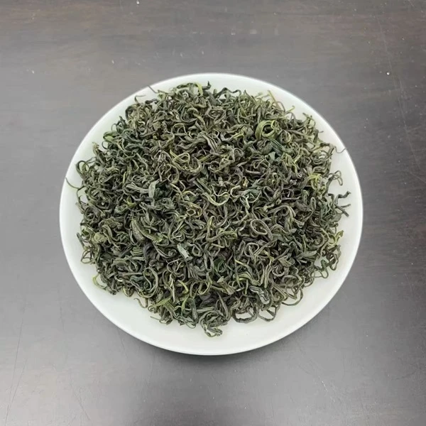 2025年新茶松阳香茶炒青绿茶高豆香浓香耐泡