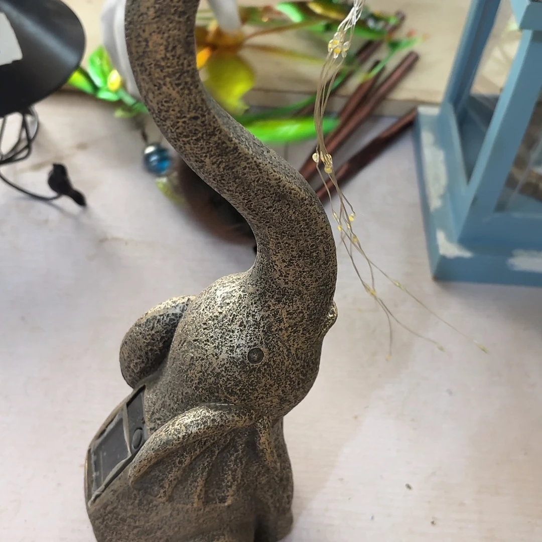 核桃木/黑胡桃（胡桃木）