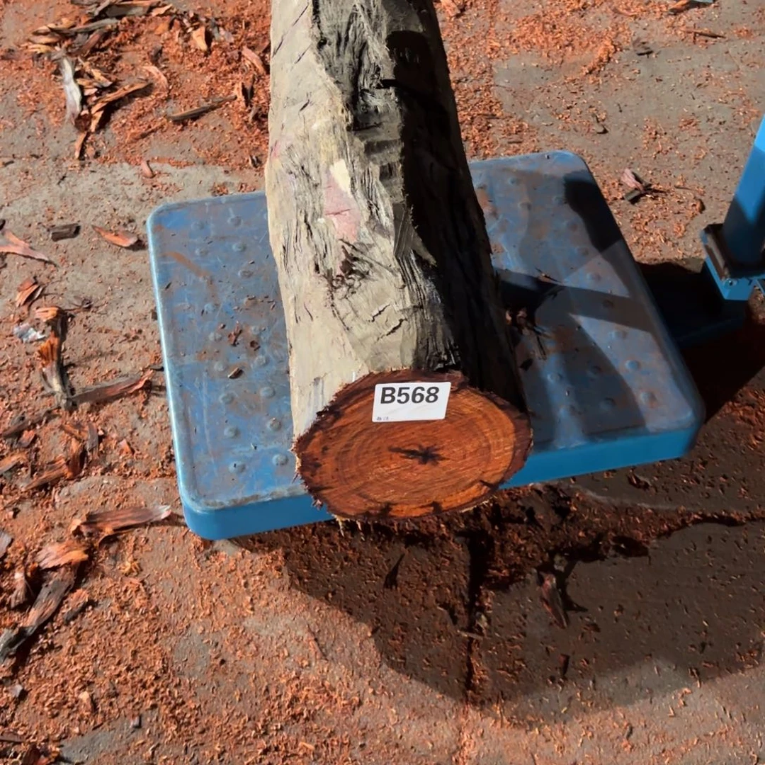 一物一拍血檀编码568