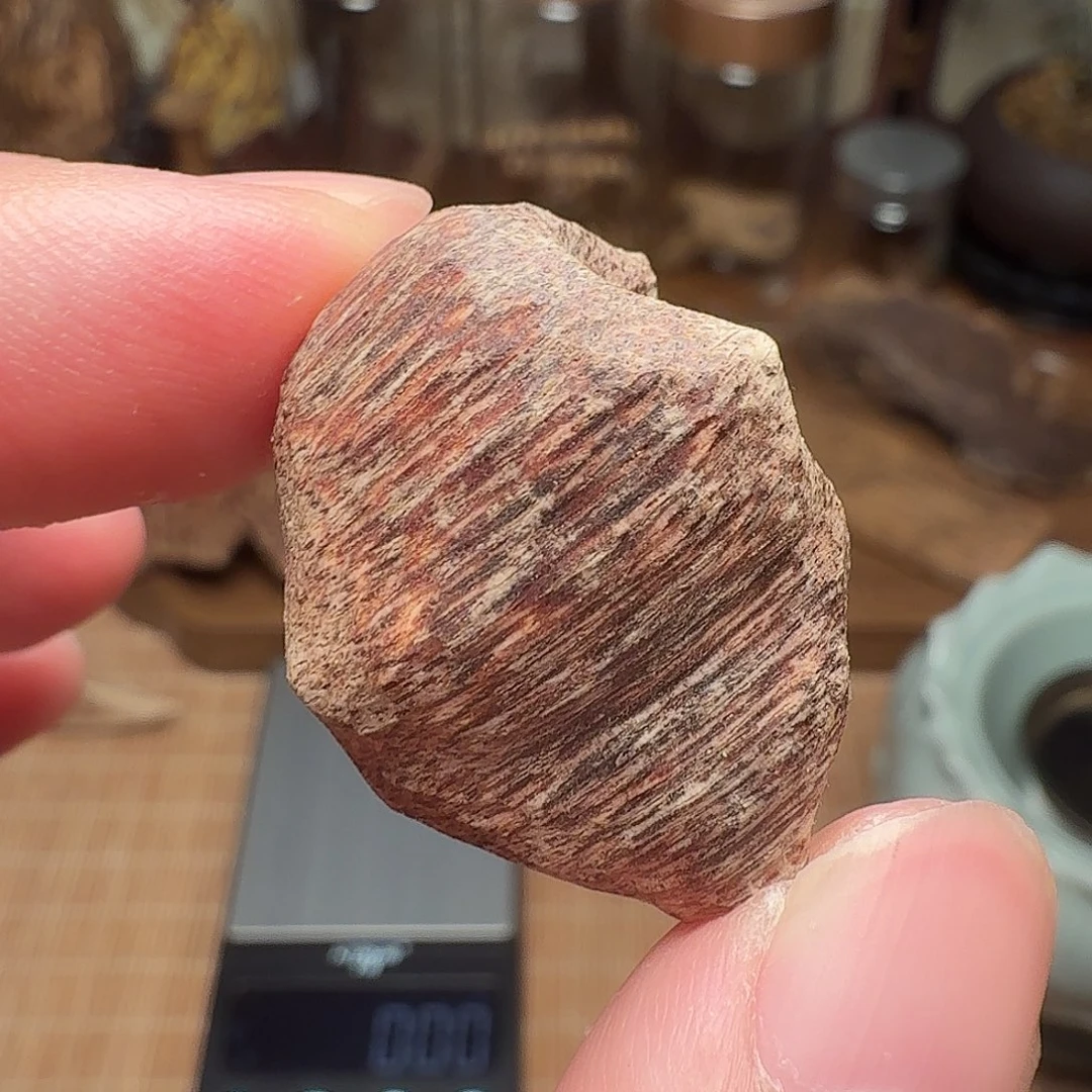 沉香国香海南瓜子