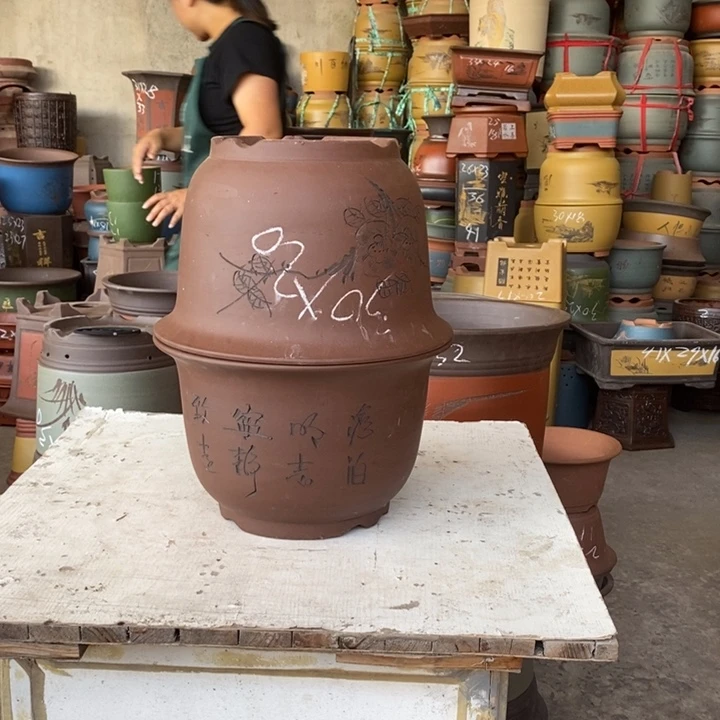 紫砂花盆盆栽花卉苗木