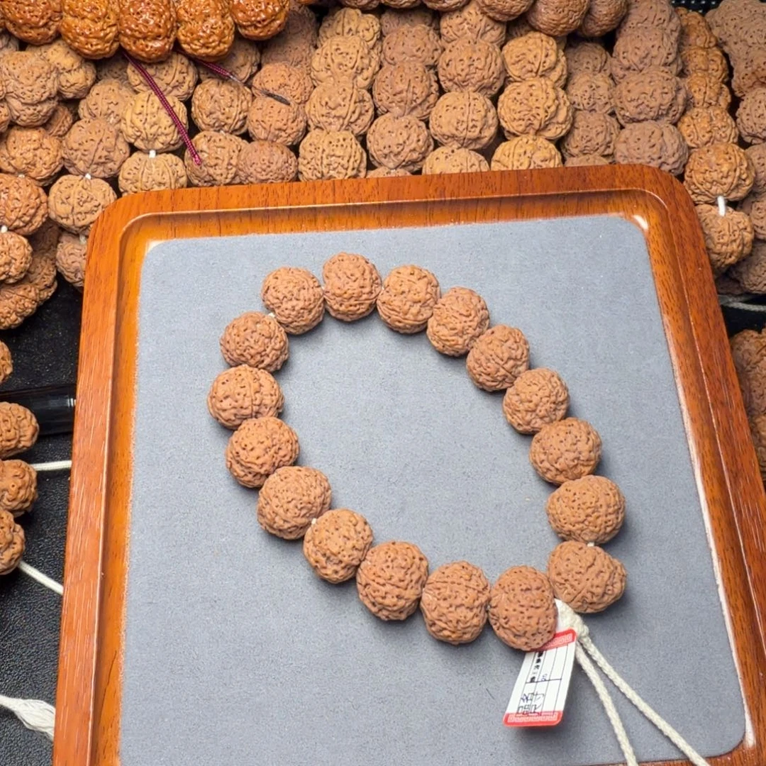 14号尼泊尔大金刚20五星蜂王菠萝蜜