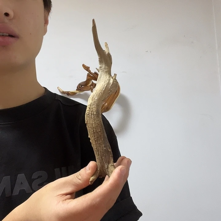 八***代柏木我也想去看看去