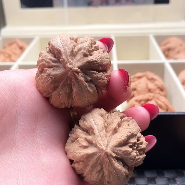 ℃***2霸王龙核桃尺寸39