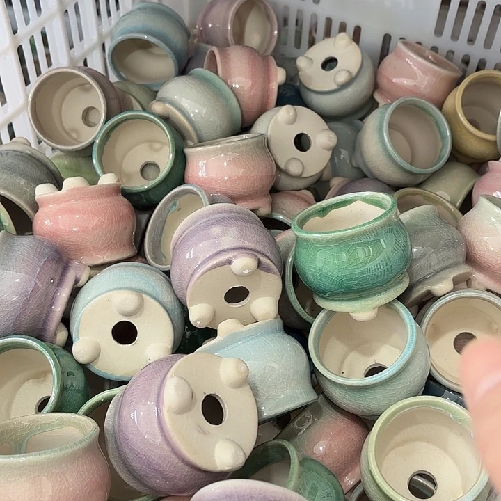 红陶发6个，非完美，介意慎拍