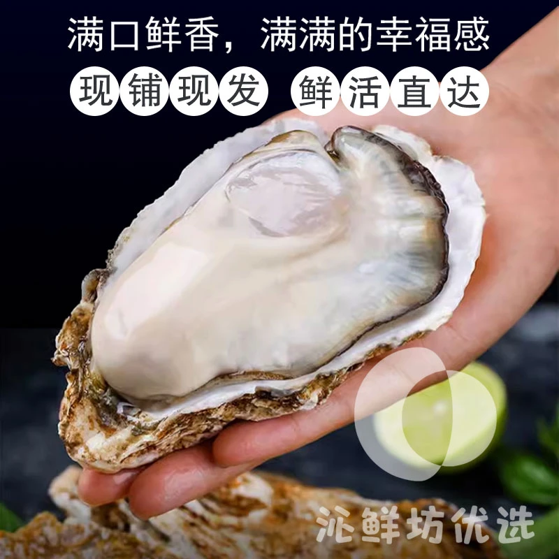 精洗乳山生蚝【买五斤送五斤】