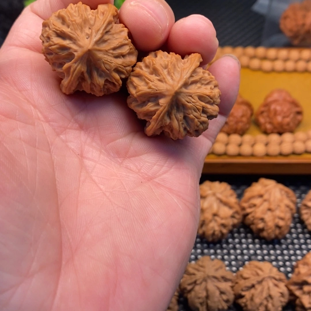 秦岭森林中发现两条蛇