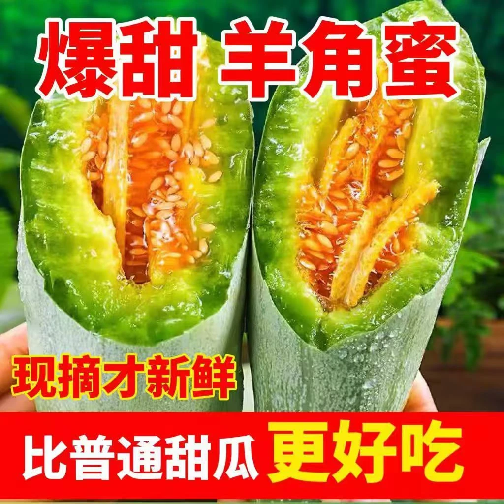 【爆甜多汁】山东潍坊羊角蜜甜瓜新鲜现摘应季水果脆甜甜瓜羊角蜜