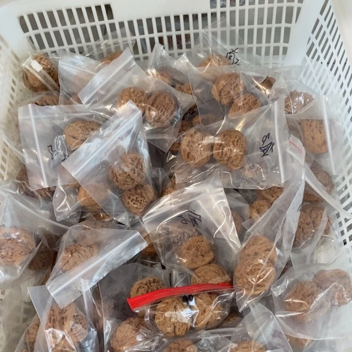 吊坠文玩核桃南疆瑕疵