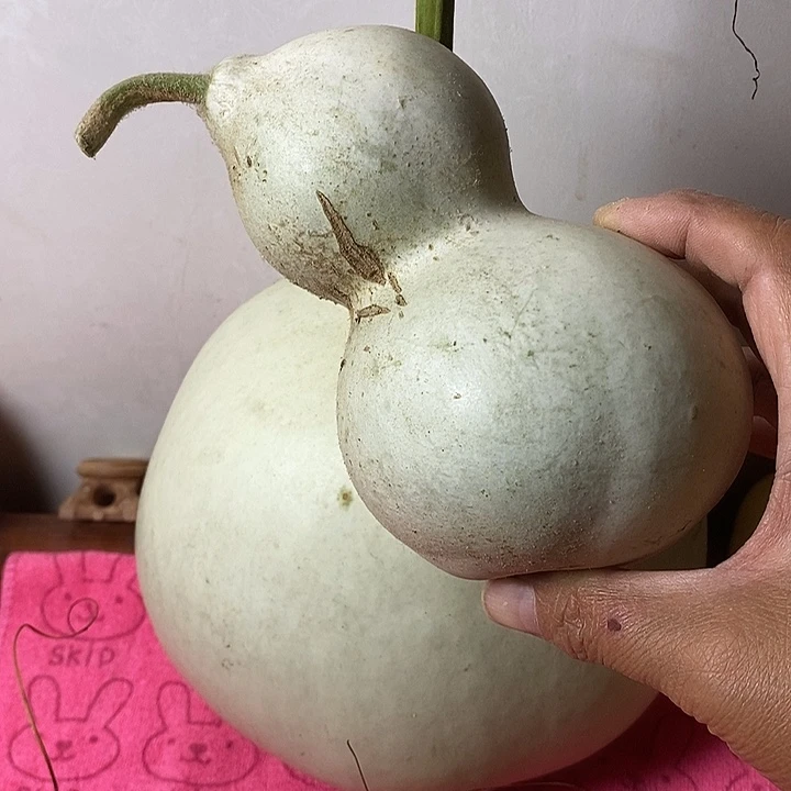 葫***生青皮手把件葫芦摆件