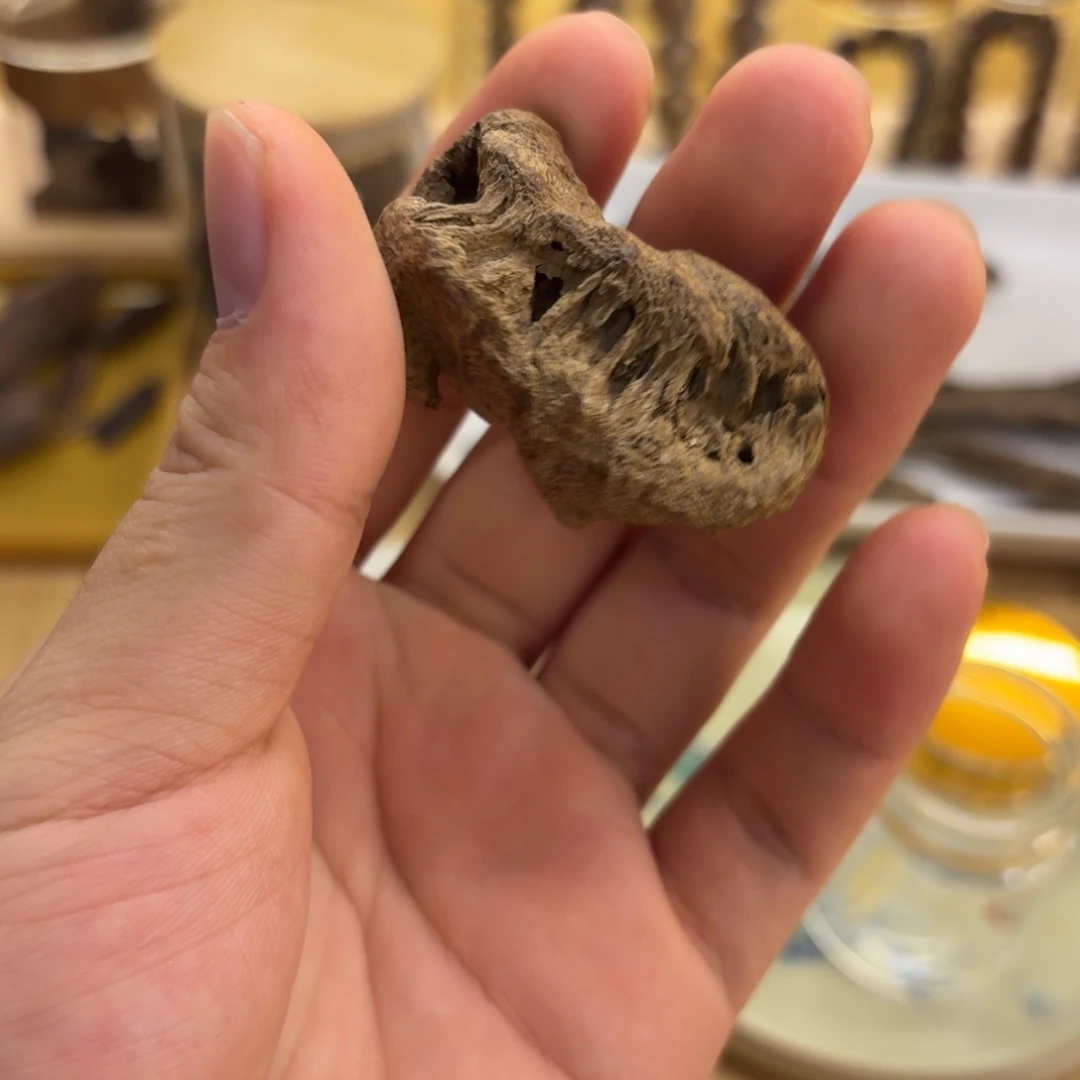 沉水鸡母虫老海南3.7克