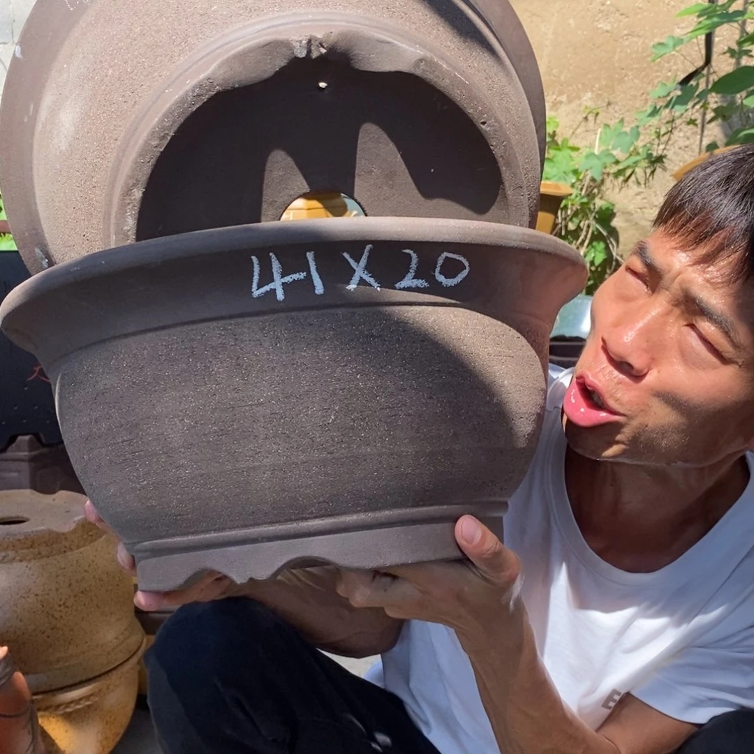 紫砂紫砂紫砂紫砂