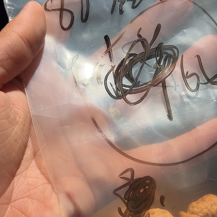 8***手吊坠文玩核桃11111111