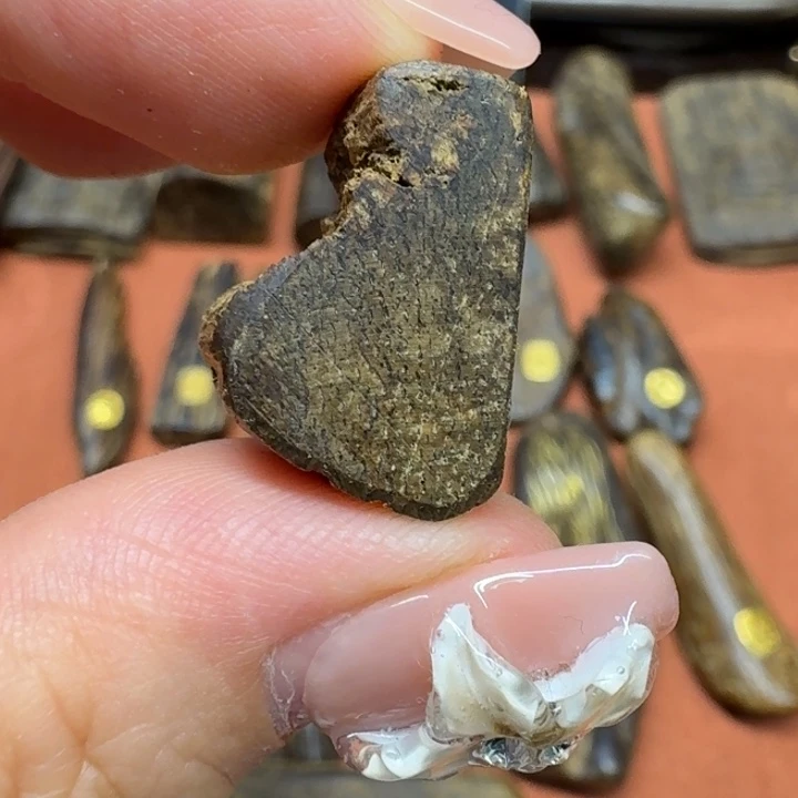 沉香沉香碎屑馨安居沉香88888