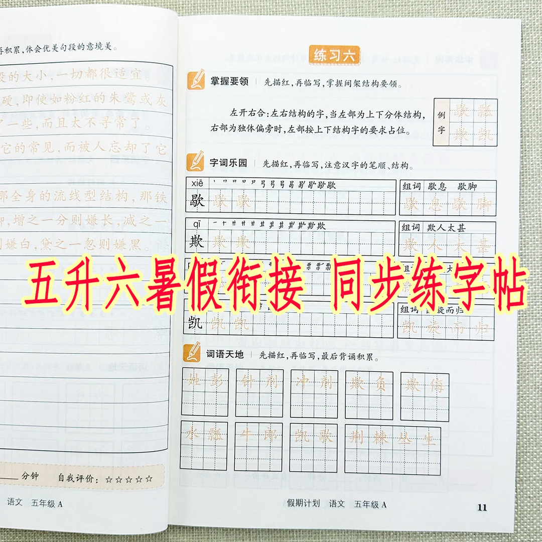 暑假作业五升六暑假字帖人教版五年级暑假同步练字帖暑假衔接字帖