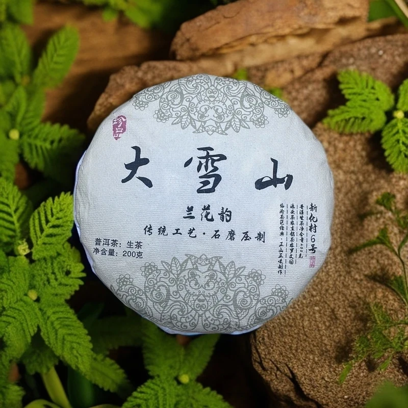 大雪山6号云南大叶种普洱茶兰花韵2023年头春头采