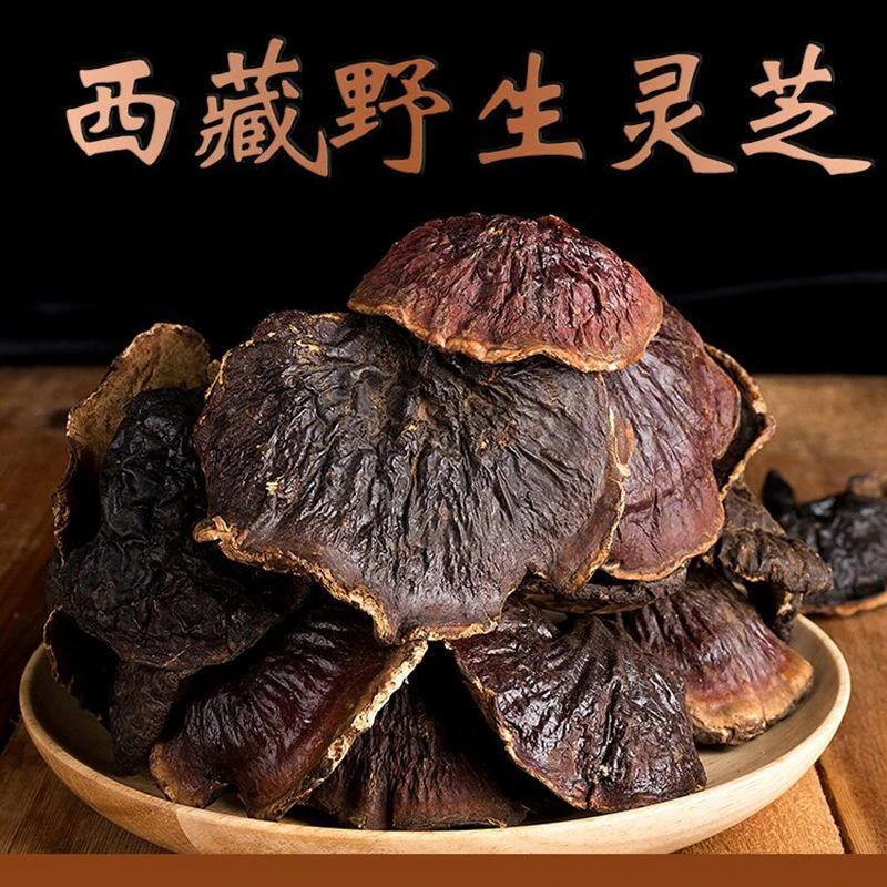 西藏纯野生灵芝林芝正品野生赤灵芝赤芝干货整朵赤灵芝野生