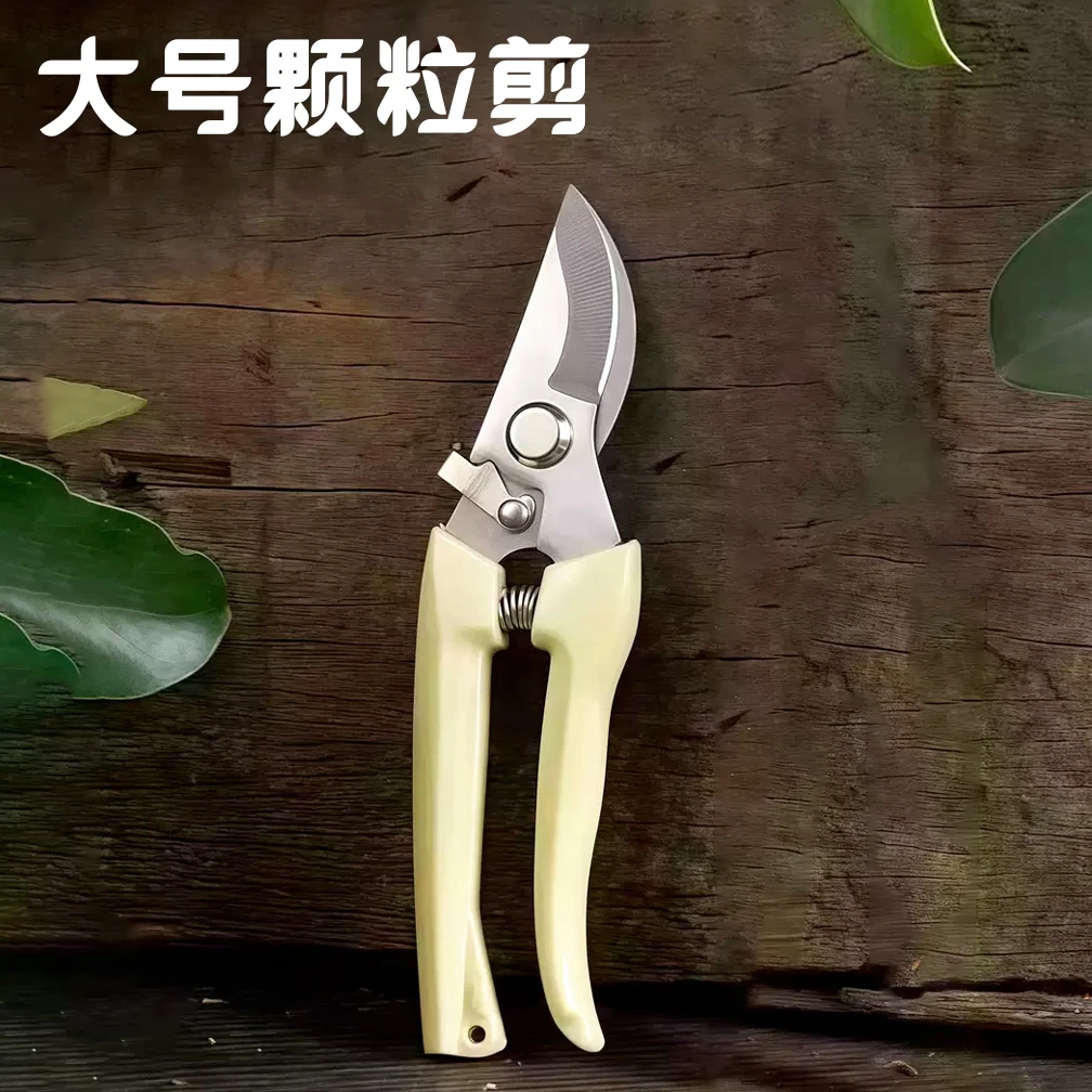 聚禹轩大物颗粒剪刀 螺蛳修剪 钓鱼剪刀 多功能钓鱼剪刀 不锈钢