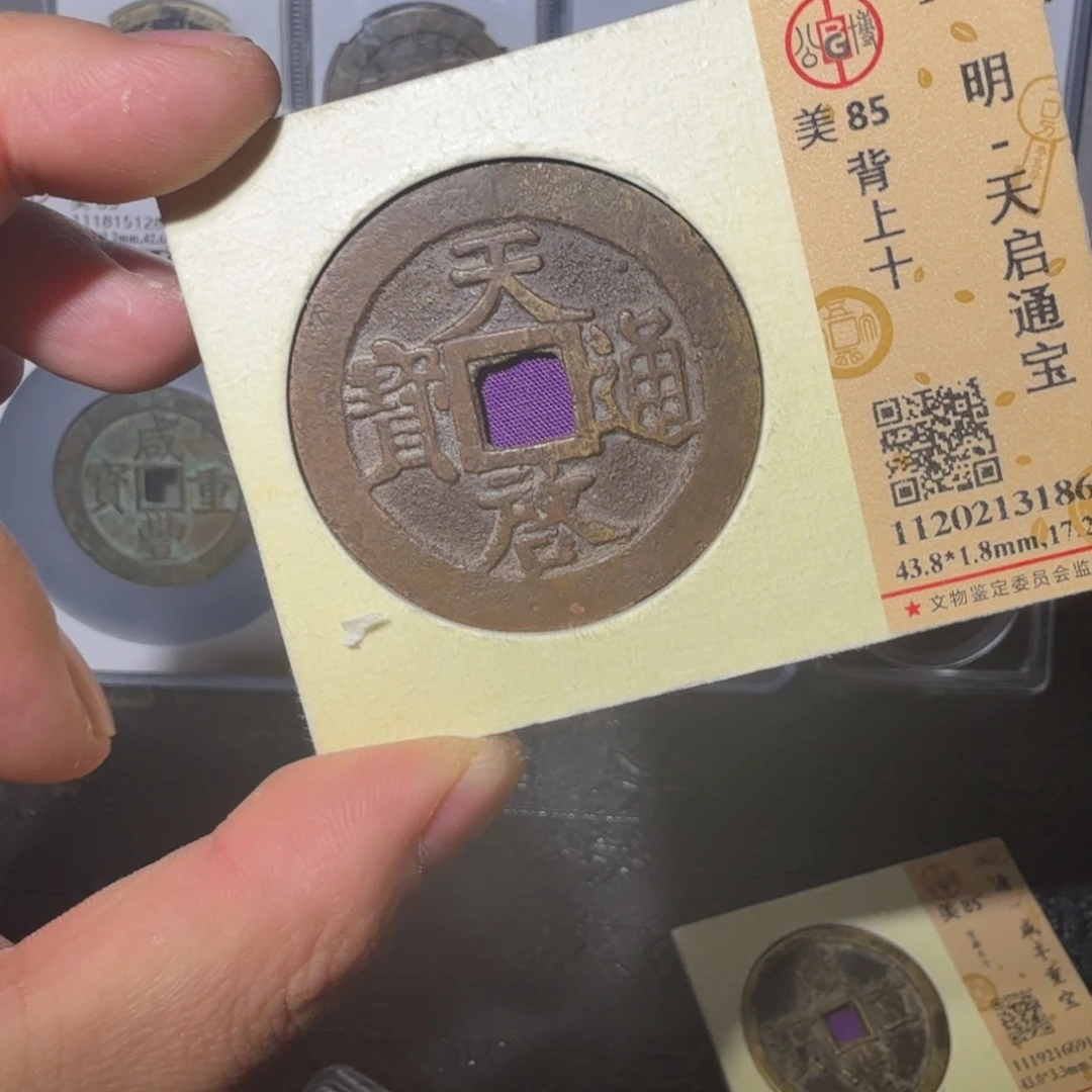 紫***来铜天启山水4444444