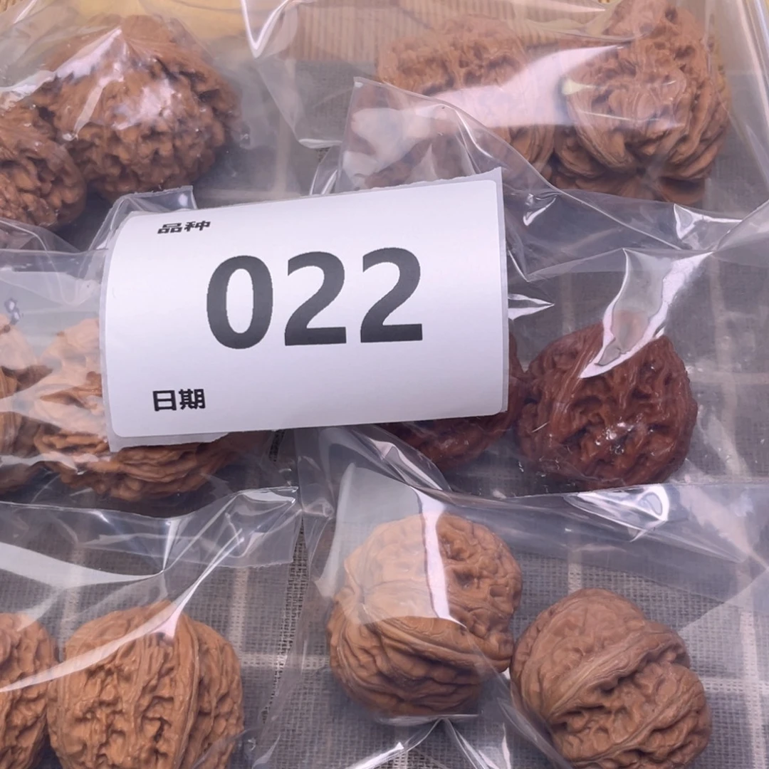 把件文玩核桃22号6对带练手元宝