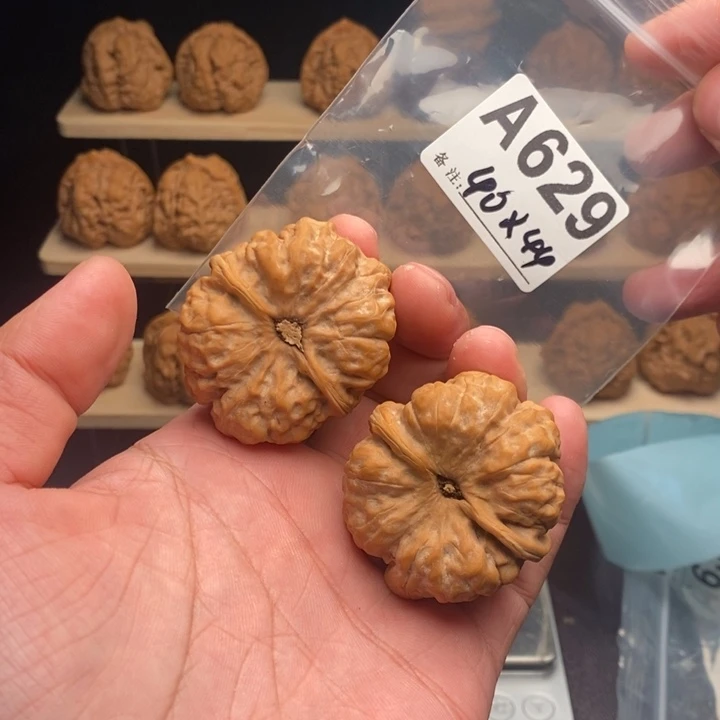 小***阁核桃A629号40蛤蟆