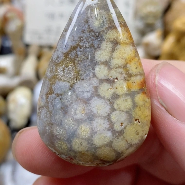颈饰未镶嵌硅化珊瑚（珊瑚玉）有瑕 小